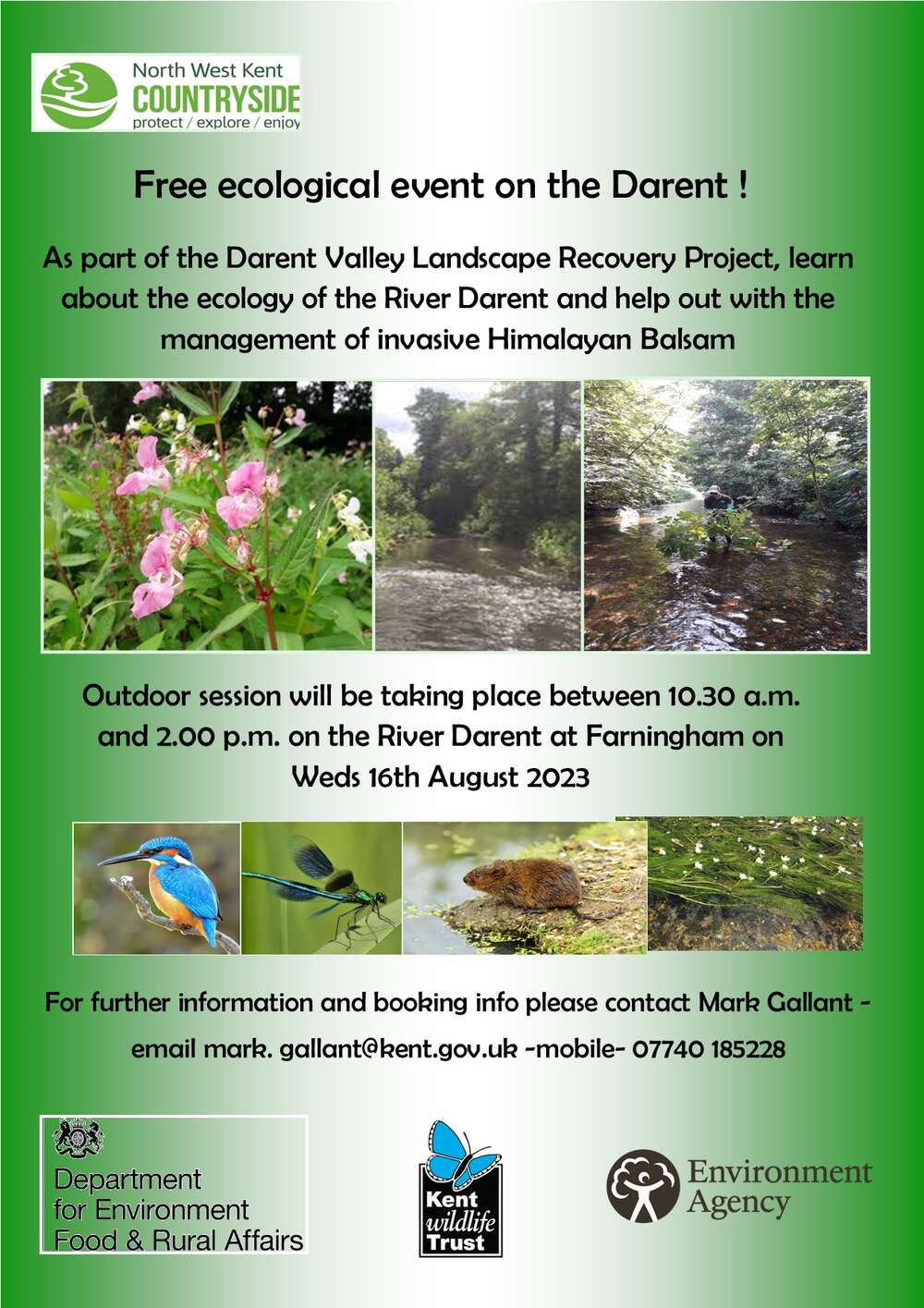 Himalayan Balsam clearing event on 16th August 2023 in Farningham