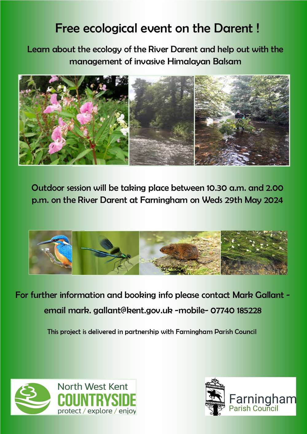 Himalayan Balsam event 29th May 2024
