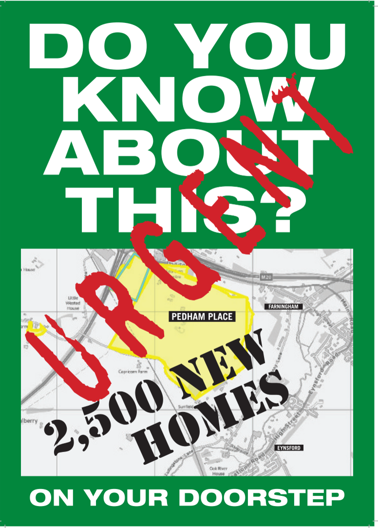 SDC Local Plan including Pedham Place Development